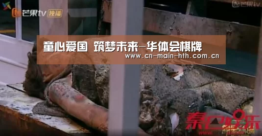华体会官网下载